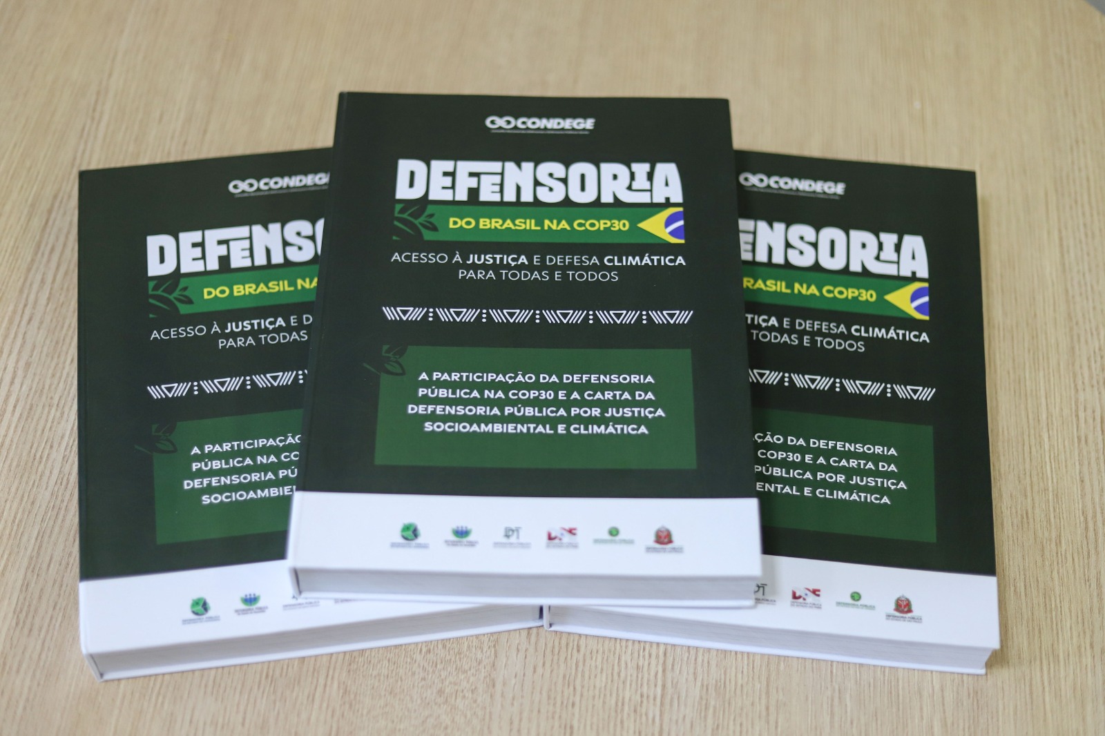 Livro destaca atuação da Defensoria na COP30