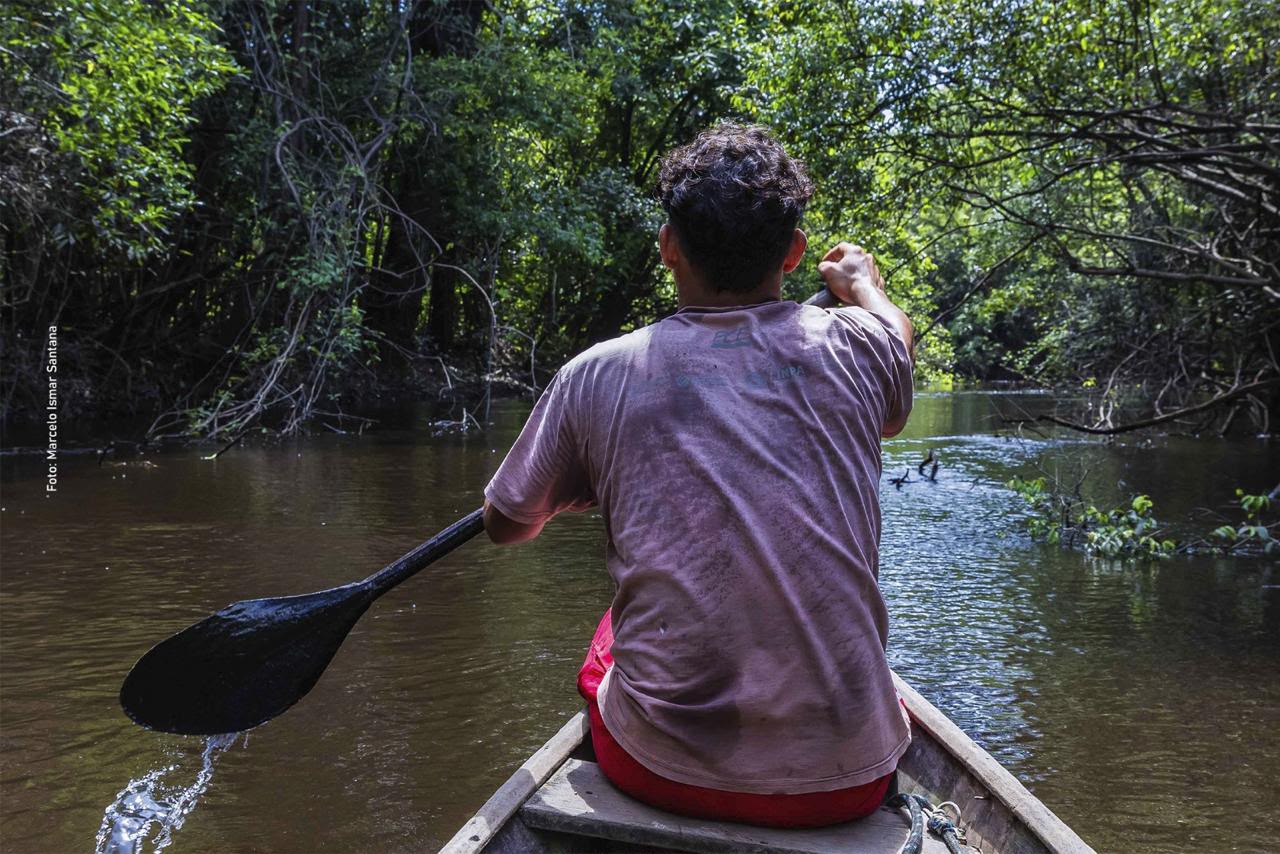 Mamirauá celebra 30 anos de conservação no Amazonas