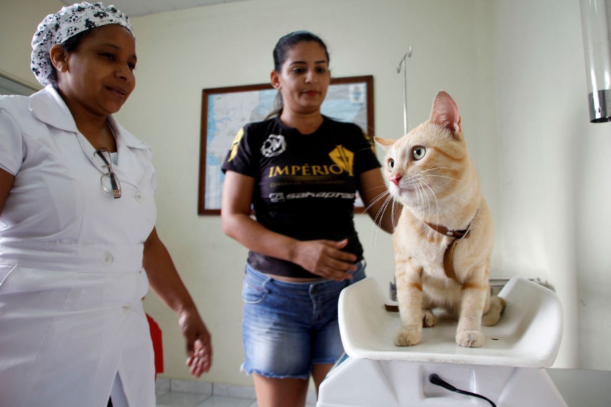 CCZ Manaus libera vagas para castração gratuita de pets