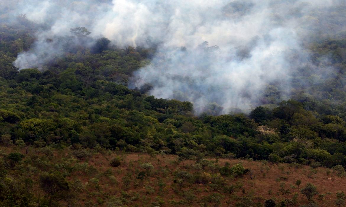 Queimadas reduzem emissões globais de carbono