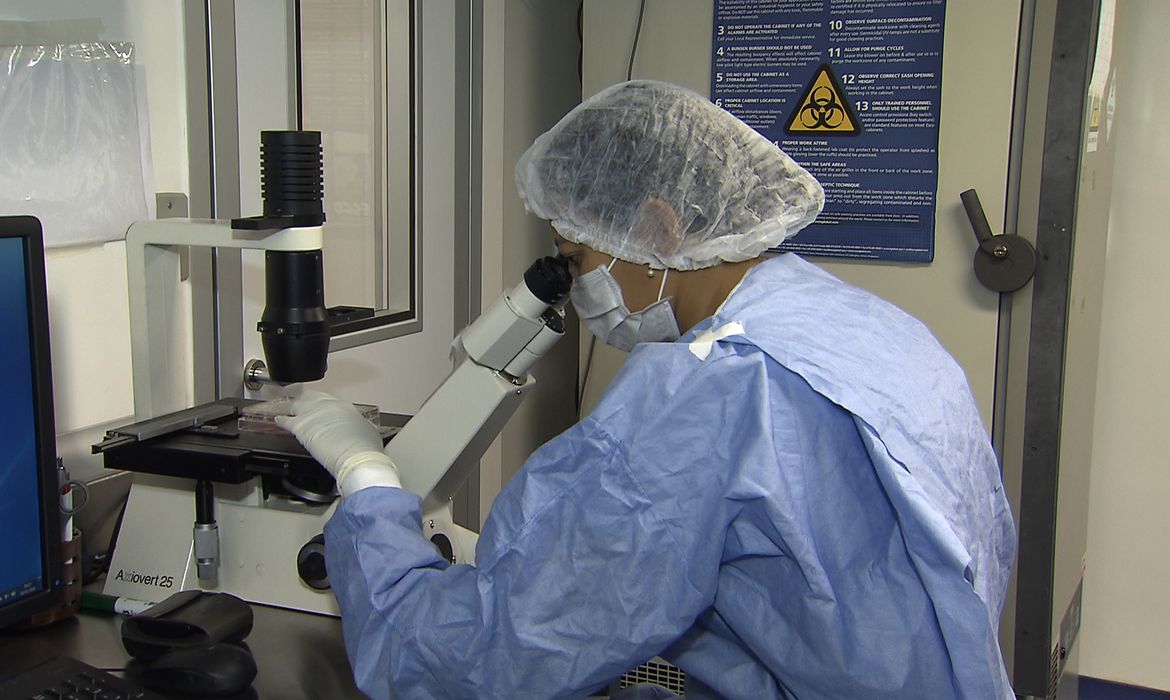 Remissão do HIV após transplante reacende esperança