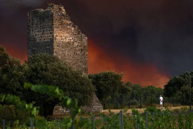 Incêndio florestal consome 2 mil hectares no sudoeste da França