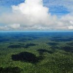 Inpe registra queda nos alertas de desmatamento da Amazônia