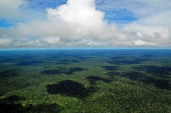 Inpe registra queda nos alertas de desmatamento da Amazônia