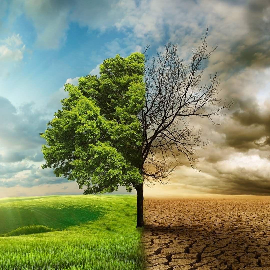 COP17 reúne países contra seca e desertificação