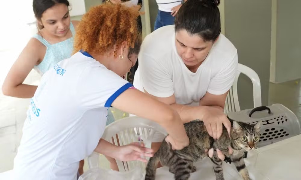 Manaus prorroga prazo para convocados da vacinação antirrábica