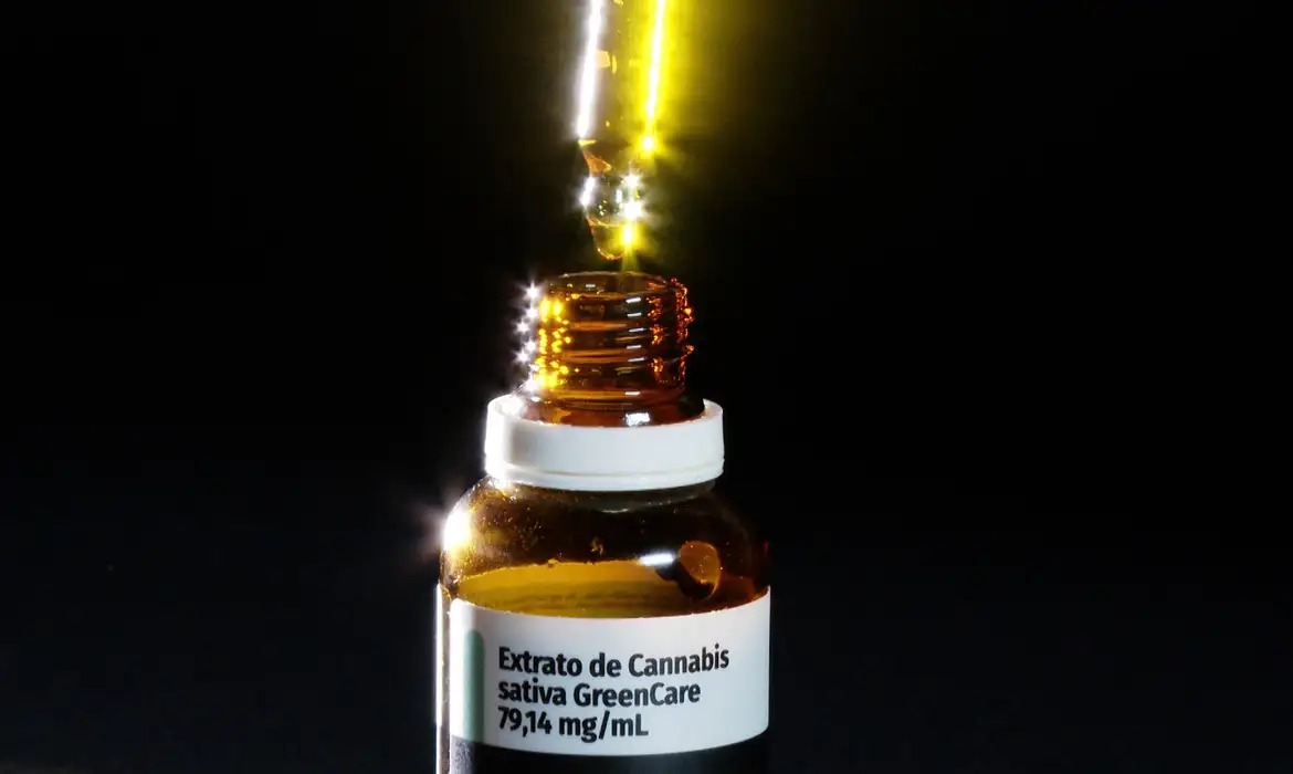 Importações de cannabis superam média de 2025