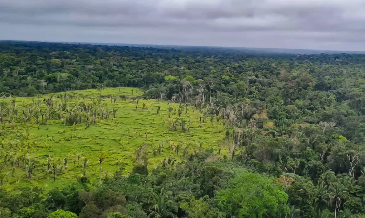 Andirá-Marau registra 2,83 km² de desmatamento