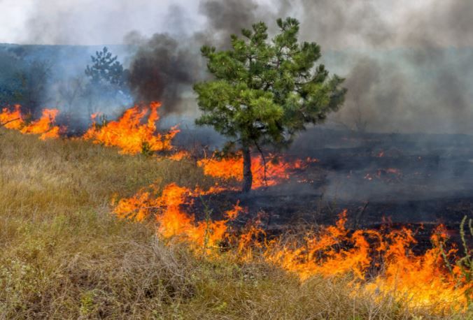 Manaus registra 1.230 incêndios em 2026