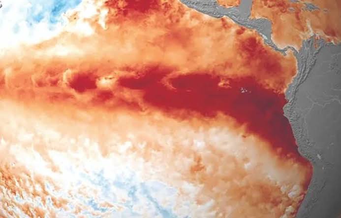 El Niño pode influenciar doenças no Amazonas