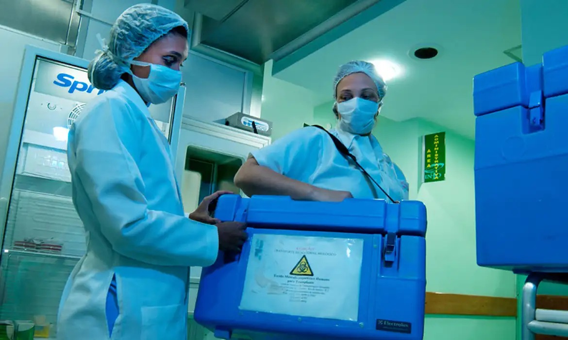 Aedo formaliza vontade de doar órgãos em documento digital