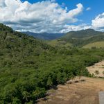 Agricultura transforma paisagem da Mata Atlântica desde 1985