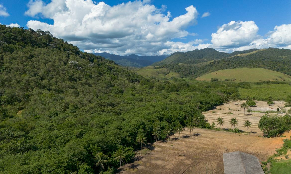 Agricultura transforma paisagem da Mata Atlântica desde 1985